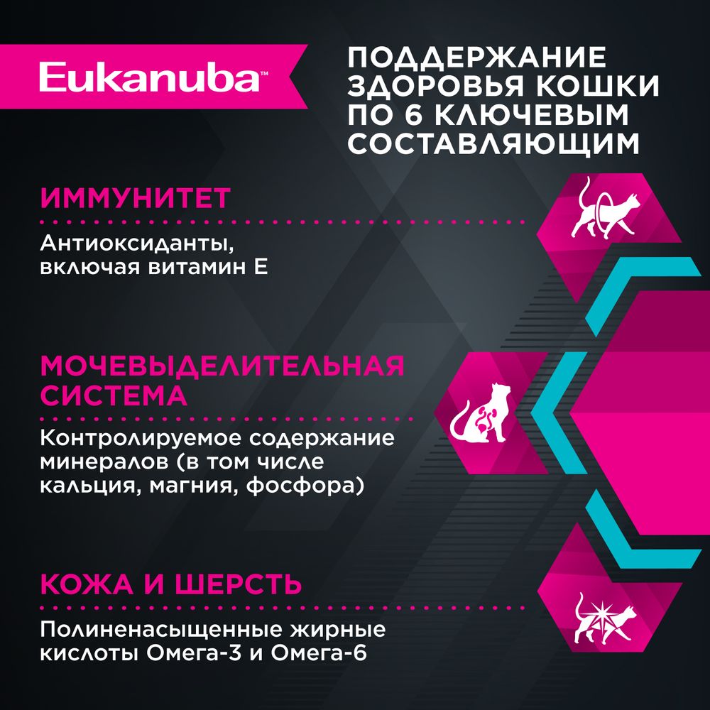 Пауч Eukanuba Senior 7+ Top Condition для взрослых кошек старше 7 лет, с курицей в соусе Пауч Eukanuba Senior 7+ Top Condition для взрослых кошек старше 7 лет, с курицей в соусе