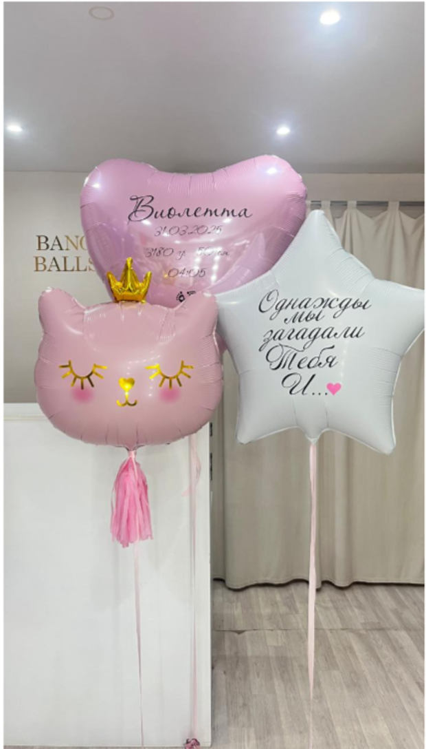 Шары на выписку №302