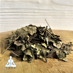 Карри листья Золото Индии