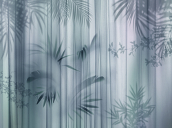 Коллекция FORESTA