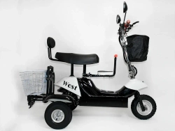 Электротрицикл EL-Sport SF8 Maxi 500W