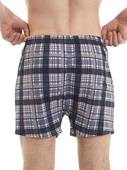 Трусы мужские семейные Gentlemen GB 8024