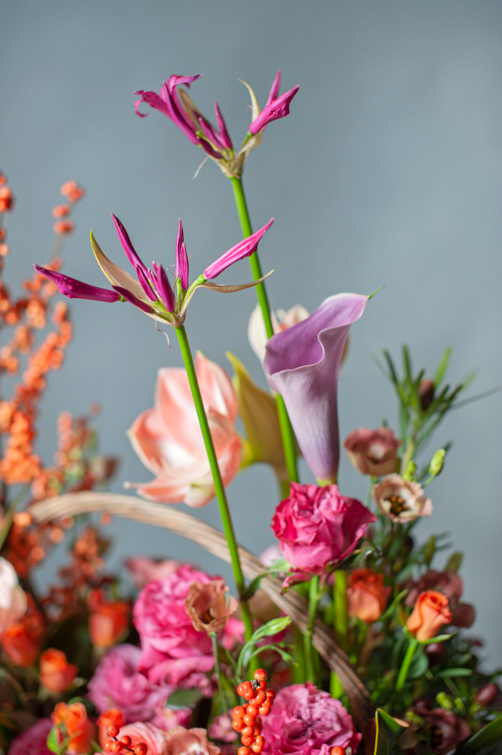 Корзина Эйфория