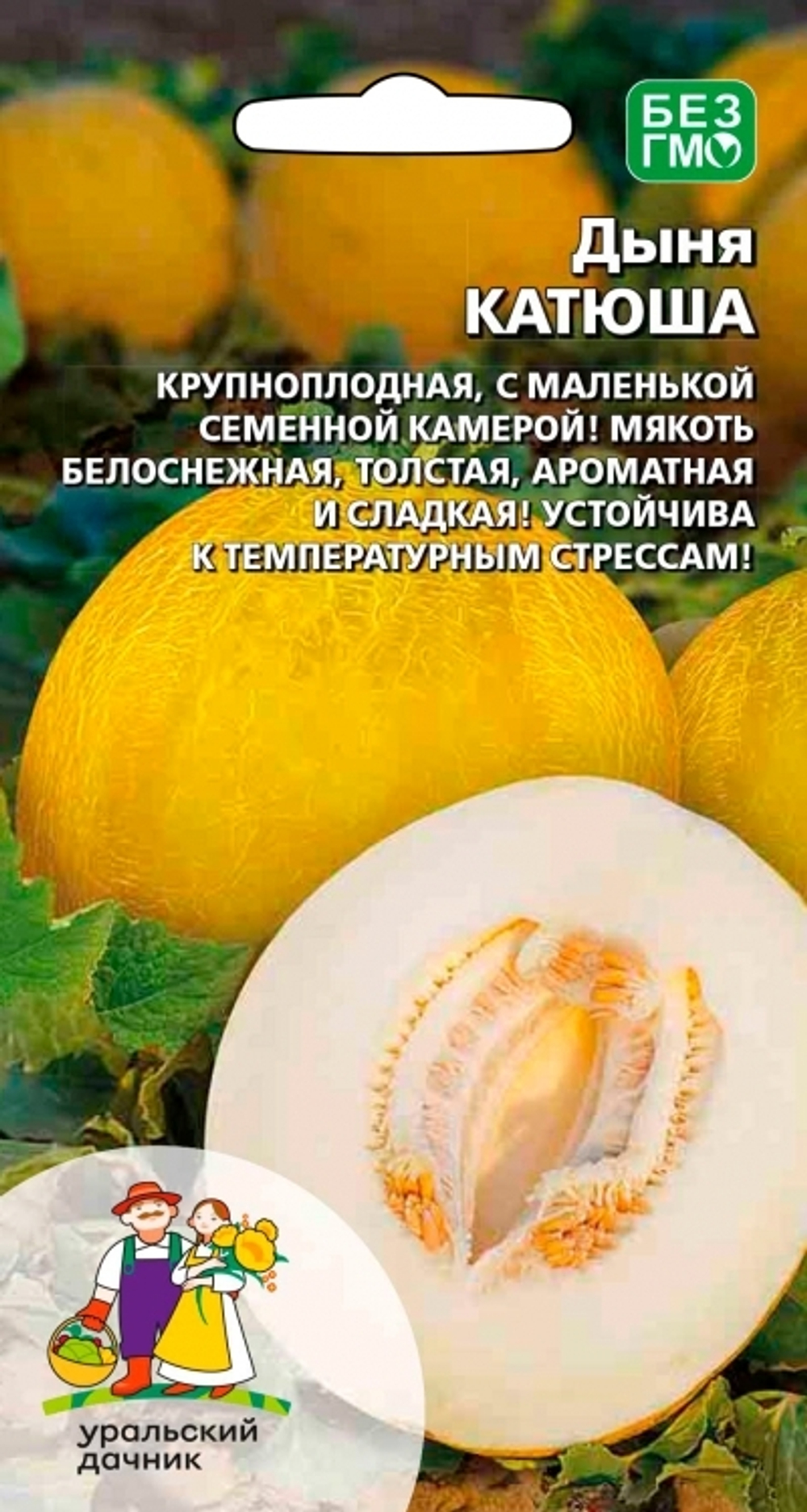 дыня Катюша