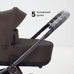 Детская коляска Rant Flex Therm Soft 2 в 1 Shine Brown