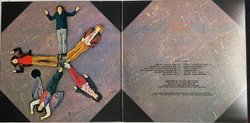 Винтажная виниловая пластинка LP The Rolling Stones Through The Past, Darkly (Big Hits Vol. 2) (Japan 1976) (No Obi) Dandelion