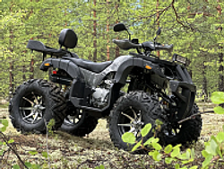 Квадроцикл PROMAX 320 DOMINATOR (2025)