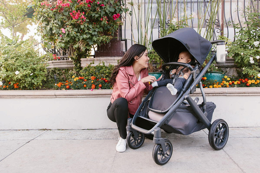 Детская коляска UPPAbaby Vista V2 2 в 1 JAKE
