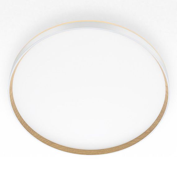 Потолочный светодиодный светильник Citilux Etalon CL750500R