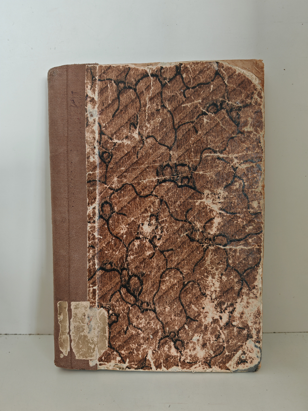 Брат и сестра