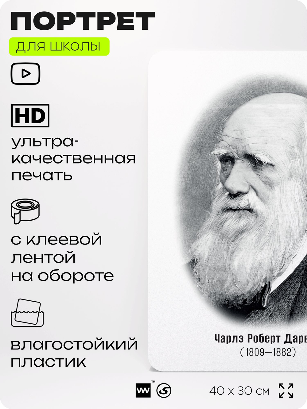 Портрет для школы в кабинет биологии "Чарльз Роберт Дарвин", стенд школьный для класса, деятели науки для оформления классного уголка, 40х30 см, Silver Plane x Айдентика Технолоджи