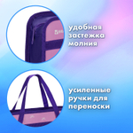 Папка на молнии с ручками BRAUBERG А4 1 отделение пластик 80 мм "Black Cat" (3 штуки в упаковке)