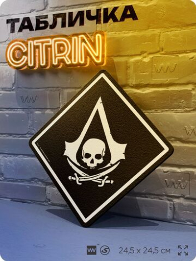Табличка декоративная "Assassin s Creed Black Flag" на дверь и стену, прикольная штука в подарок геймеру, декоративный знак, 24,5х24,5 см, Айдентика Технолоджи