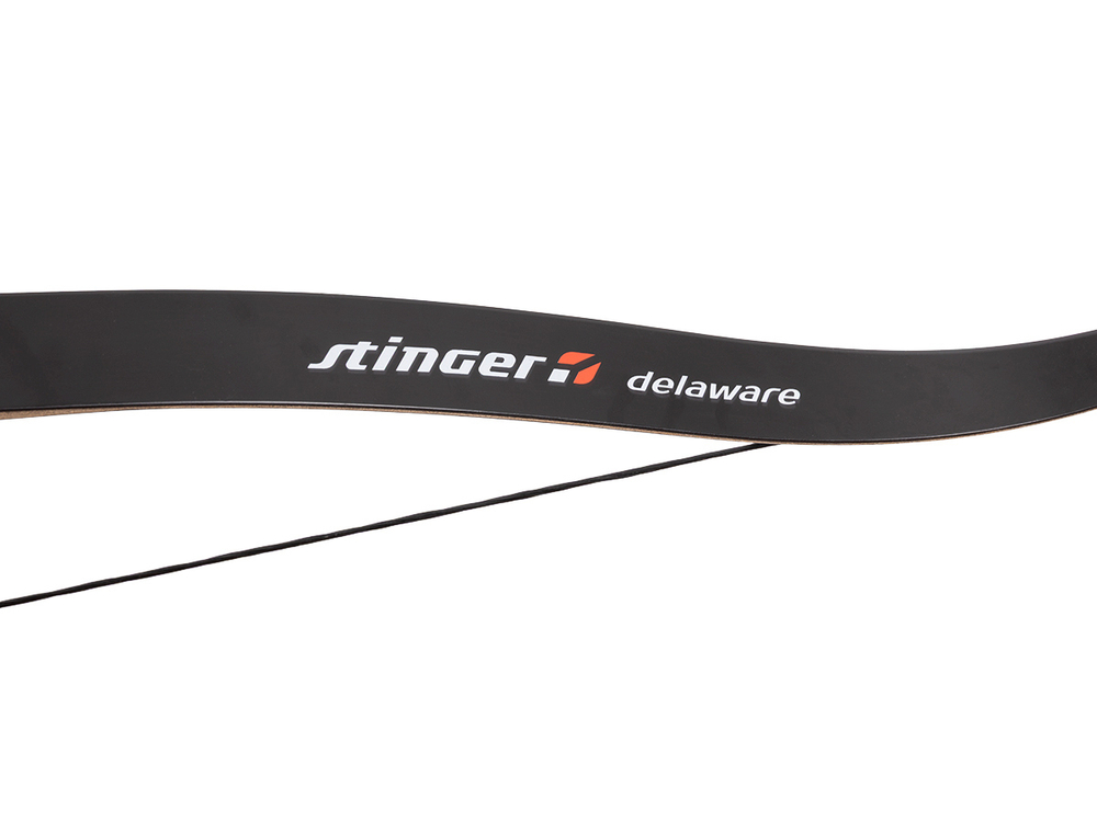 Лук рекурсивный Stinger Delaware, 30 lbs/13,6 кг, длина 56 дюймов, алюминий (SG-BOW-F-30-BLK)