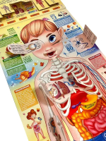 Плакат с окошками