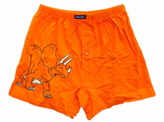 Боксеры для мальчиков ATLANTIC BB-125