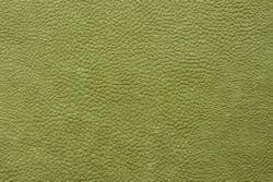 Микровелюр Phlox (Флокс) 12