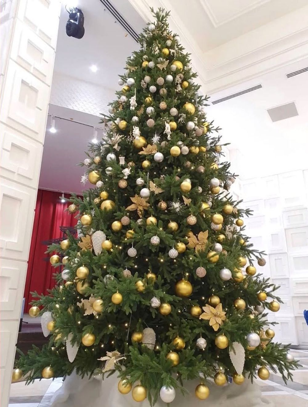 Елка 5 м Виктория