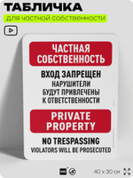 Табличка для частной территории "Частная собственность, вход запрещен", на дом, для участка, организаций, предупреждающая, 40х30 см, Silver Plane x Айдентика Технолоджи