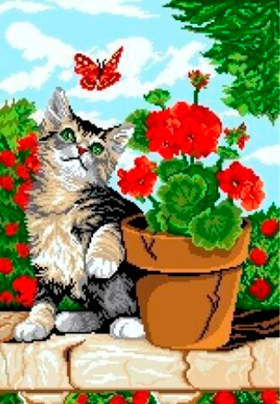 К-5004 Котик и герань