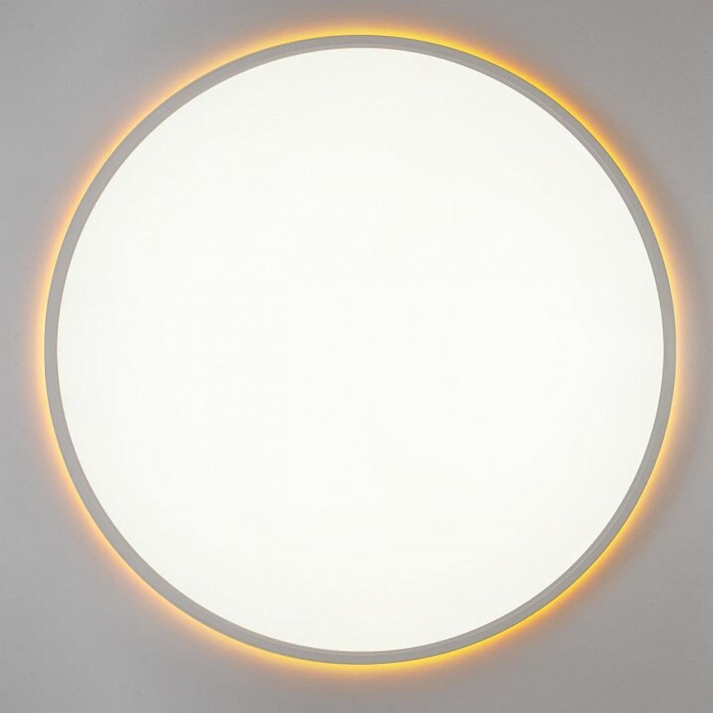 Накладной светильник Citilux NORMA CL749600