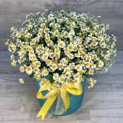 Шляпная коробка из 25 веточек ромашек