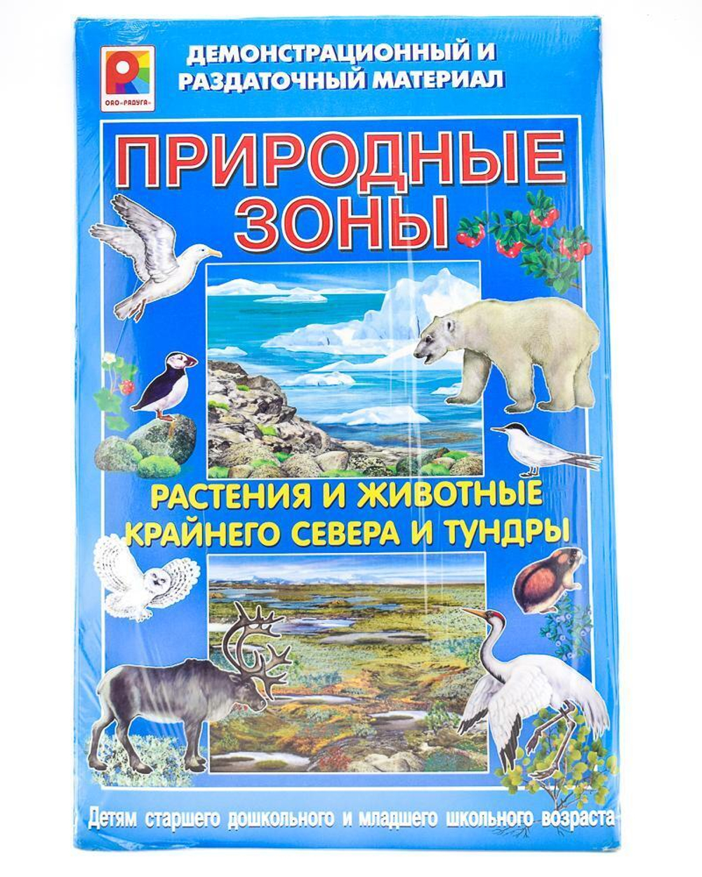 Демонстрационно-раздаточный материал "Природные зоны Жив."Север
