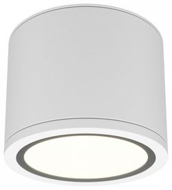 Накладной светильник Maytoni Rendo C095CL-GX53-W