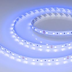 Светодиодная лента RT-B60-10mm 24V Blue (14.4 W/m, IP20, 5m) (Arlight, Открытый) 008819(3)