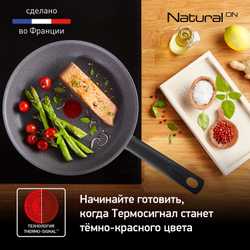 Набор сковород Tefal Natural ON 3 предмета 20/24/28 см G2809072
