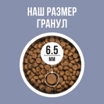 Bowl wow корм сухой для котят: индейка, курица, черника