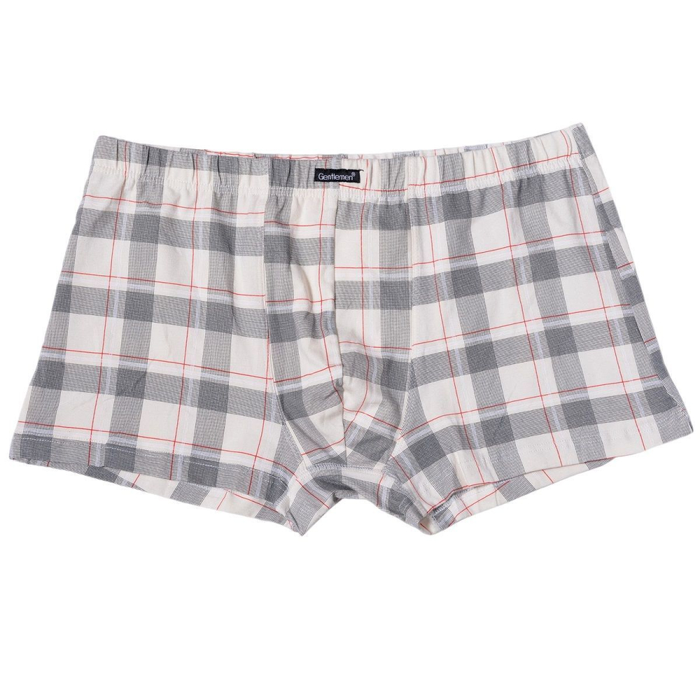 Мужские хлопковые трусы-боксеры (Размер: L) (Цвет: синий)