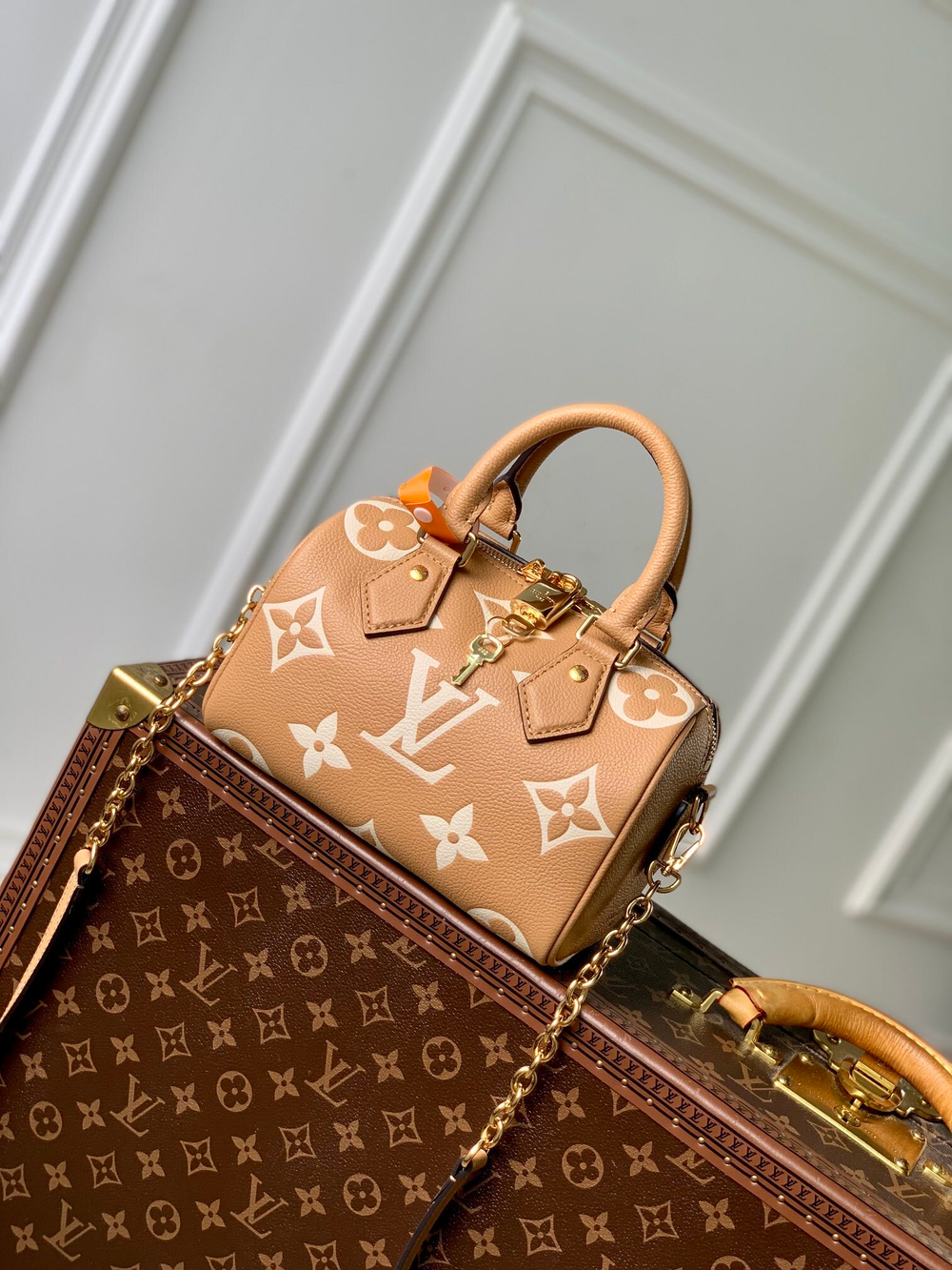 Louis Vuitton Speedy 20