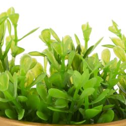 GAEM Цветочная композиция, L7 W7 H15 см, 2в.