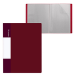 Папка с 100 вкладышами, А4, 50мм, 650 мкм, Alingar, пластик, матовые цвета ассорти