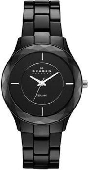 Наручные часы Skagen SKW2067