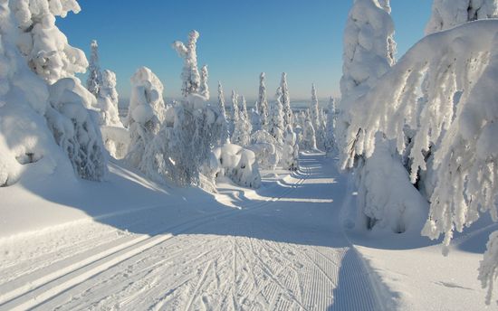 Подарки для всей семьи