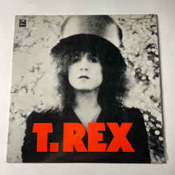 Винтажная виниловая пластинка LP T. Rex The Slider (Japan 1977) (No Obi) Metal Guru