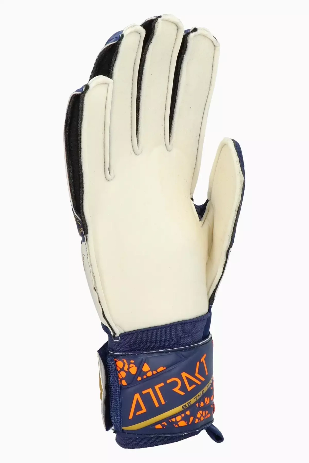 Вратарские перчатки Reusch Attrakt Solid