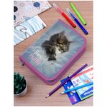 Пенал 1 отделение, 200*140*40 Berlingo "Meow friend 1", дополнительная откидная секция, полиэстер