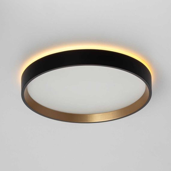 Потолочный светодиодный светильник Citilux Etalon CL750241