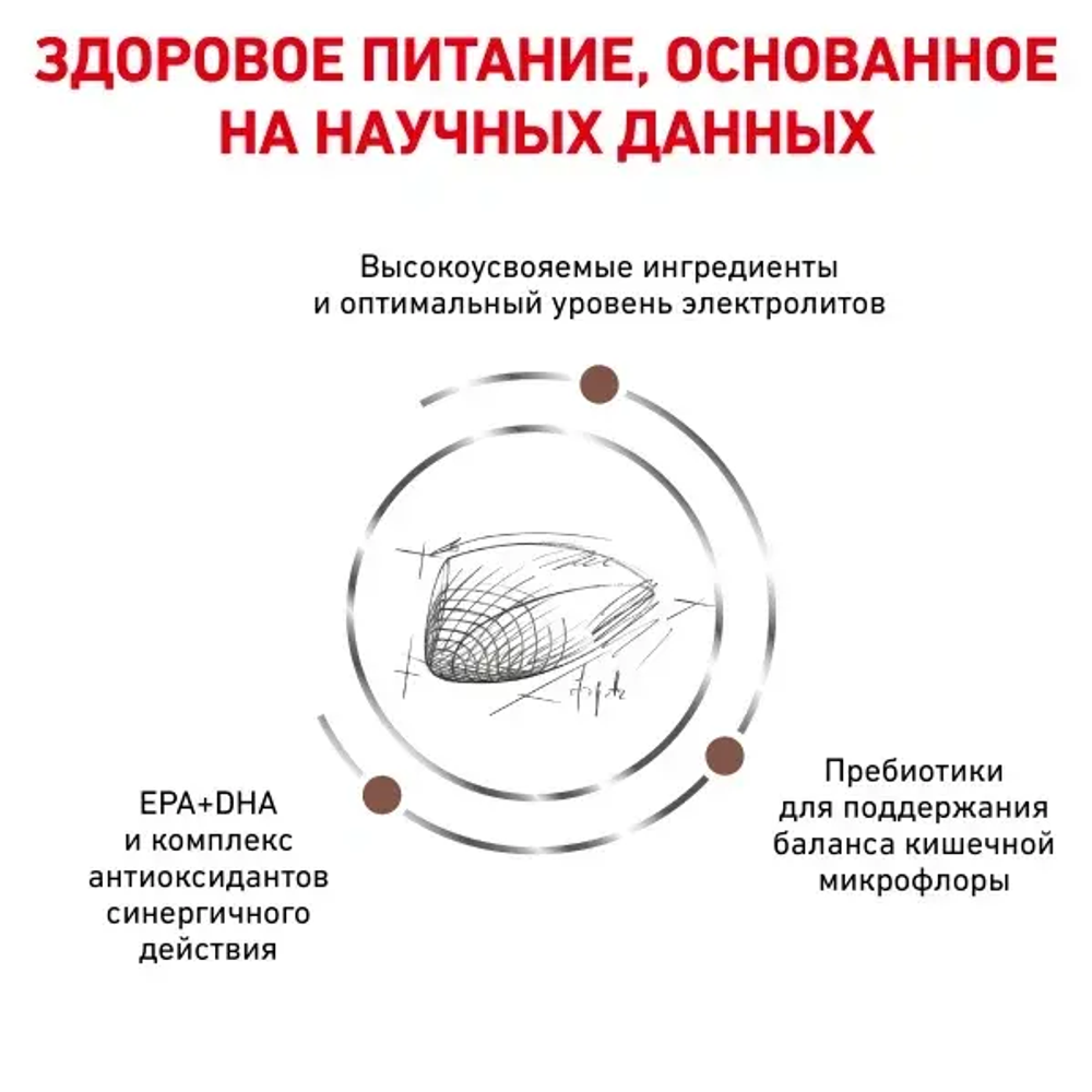 Royal Canin корм сухой для взрослых кошек при нарушениях пищеварения