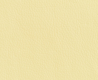 Искусственная кожа Oregon (Орегон) 11