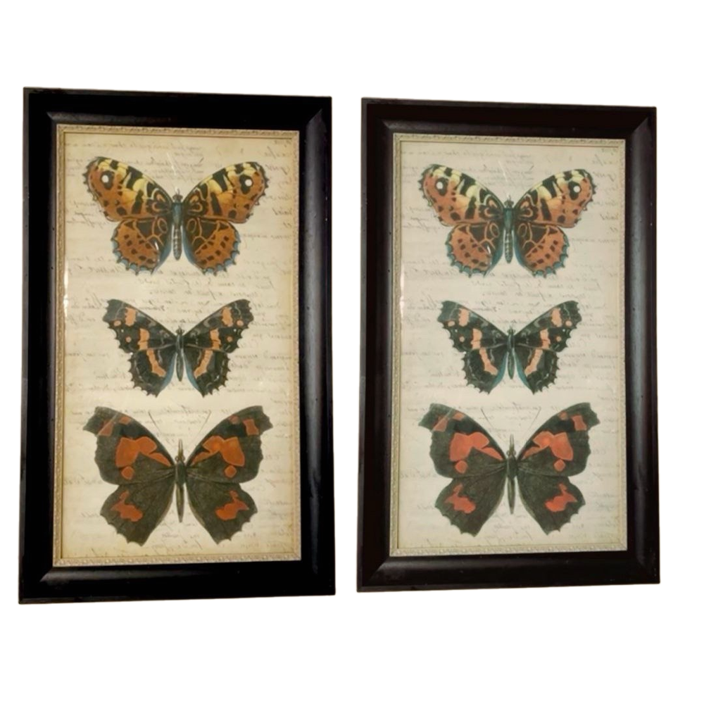 Постер Три бабочки 51х82 см