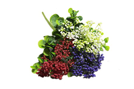 Букет/ветка ягоды пучком