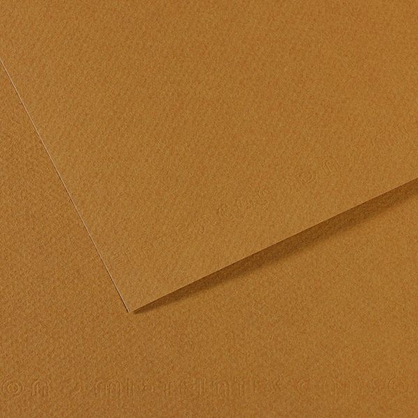 Бумага для пастели Mi-Teintes 160 г/м², A4 21х29.7 см, 25 л, №336 Коричневый песчаный, Canson, C31032S012