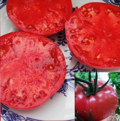 ЕГИПЕТСКАЯ ЛАДЬЯ