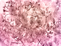 Коллекция AQUARELLE