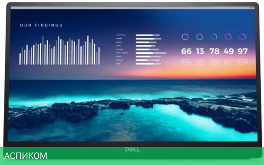Портативный монитор Dell P1424H