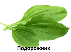 ALLEVA для собак Alleva Care Dog Gastrointestinal Low Fat 12 KG Аллева Гастроинтестинал корм диетический  для собак